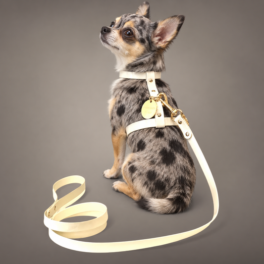 H Harness