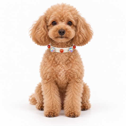 Mixed Ball Collar