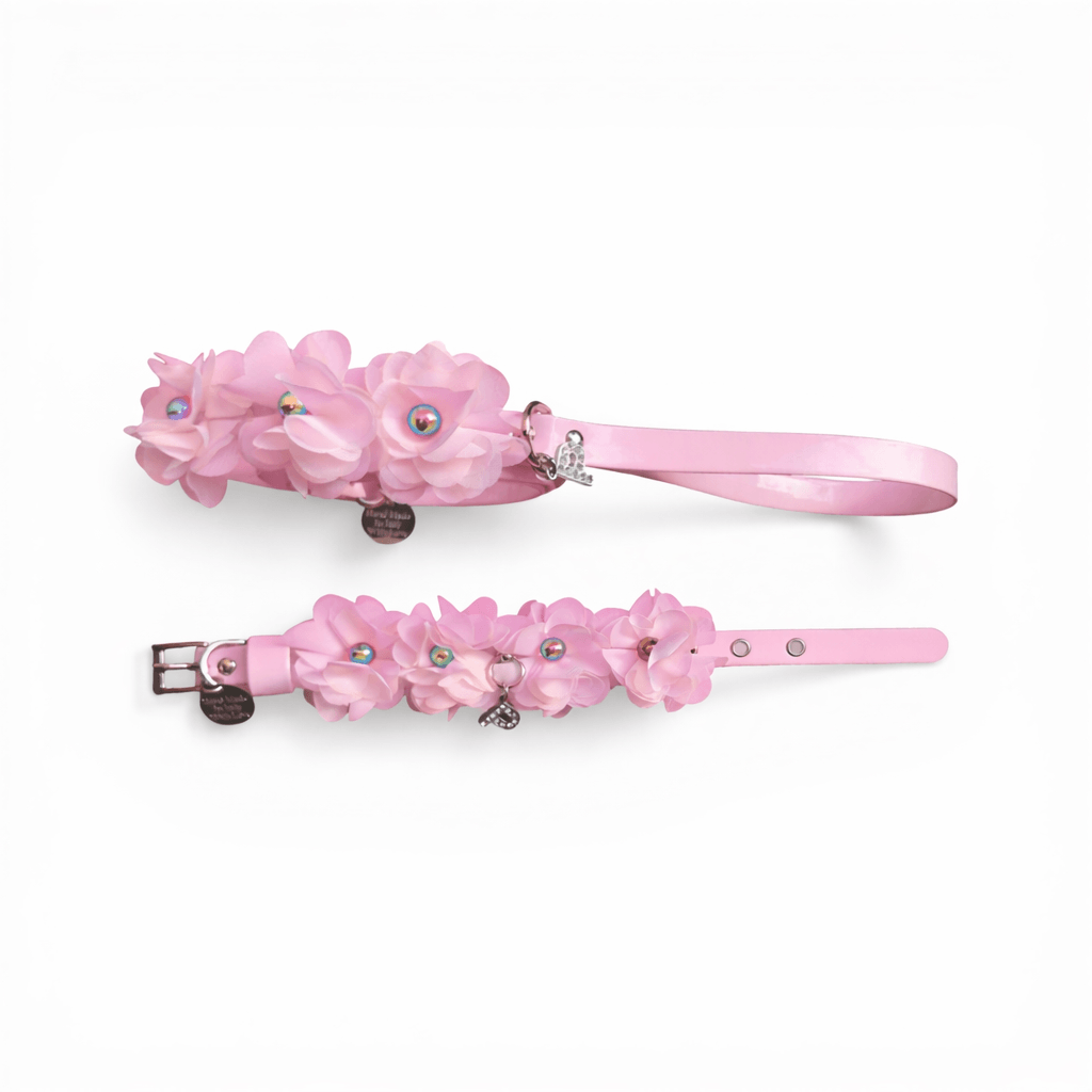 Amelie matching Leash