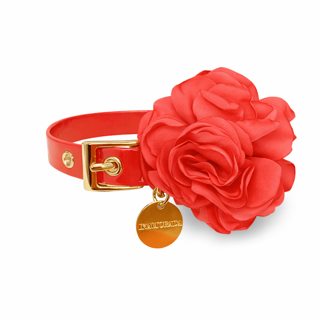 Rouge Coco Collar