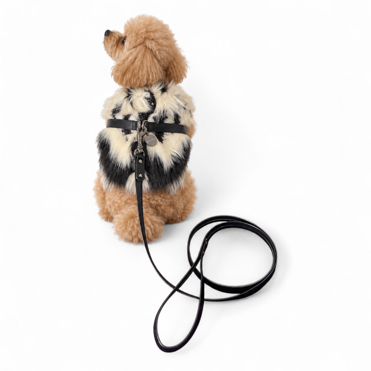 Chevron Harness