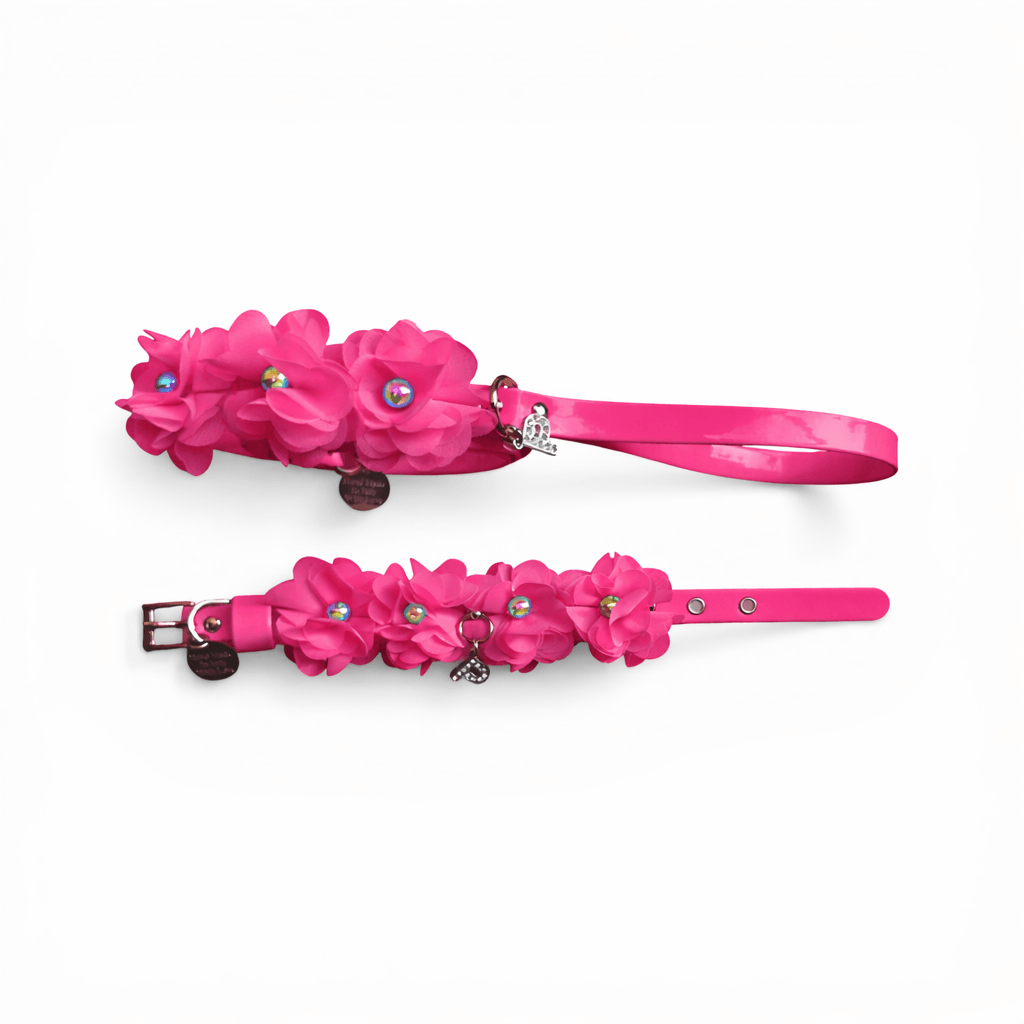 Amelie matching Leash