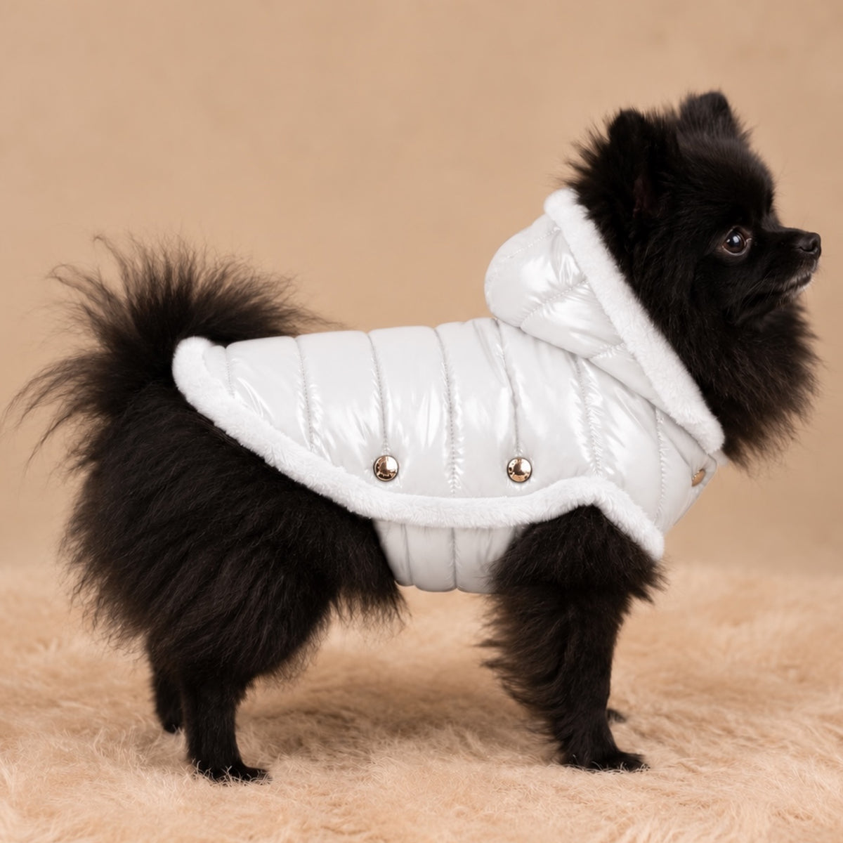 Belgravia Puffer Piumino sartoriale per cani con cappuccio