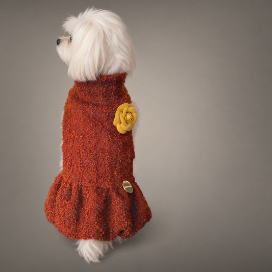 Tweedy Dress