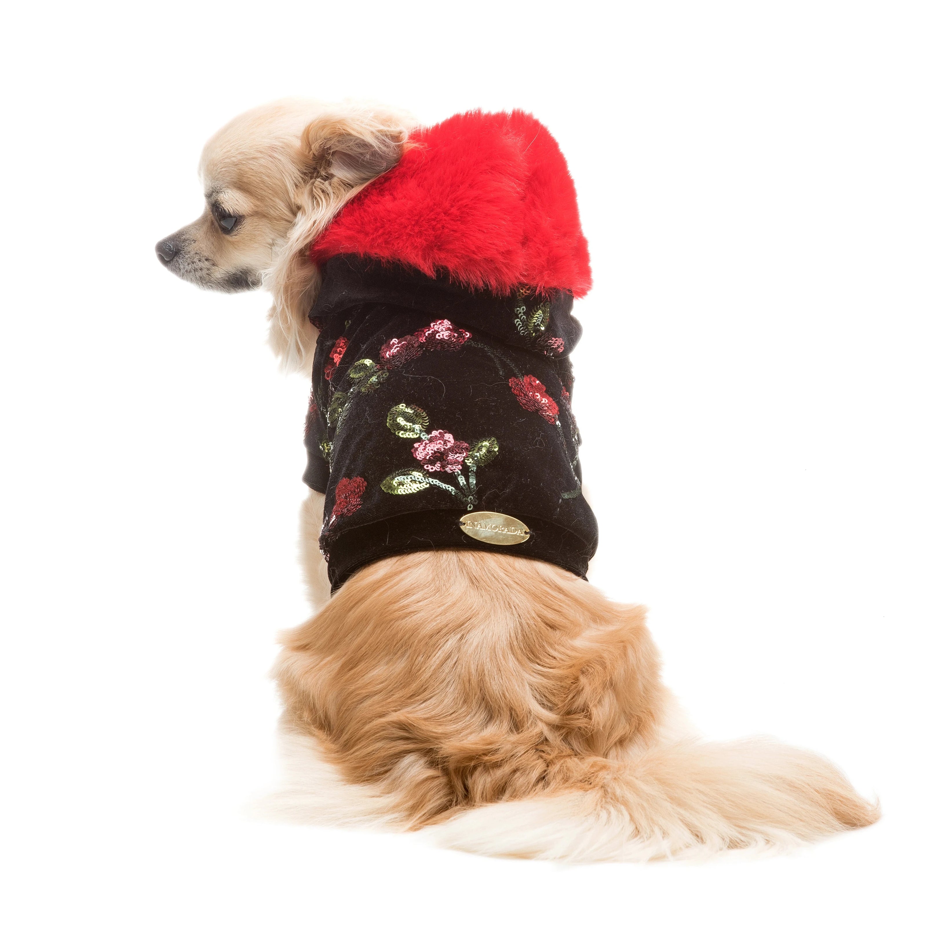 Chihuahua indossa la felpa in ciniglia per cani Sondra | My Pet Luxury Boutique |mypetluxuryboutique.com