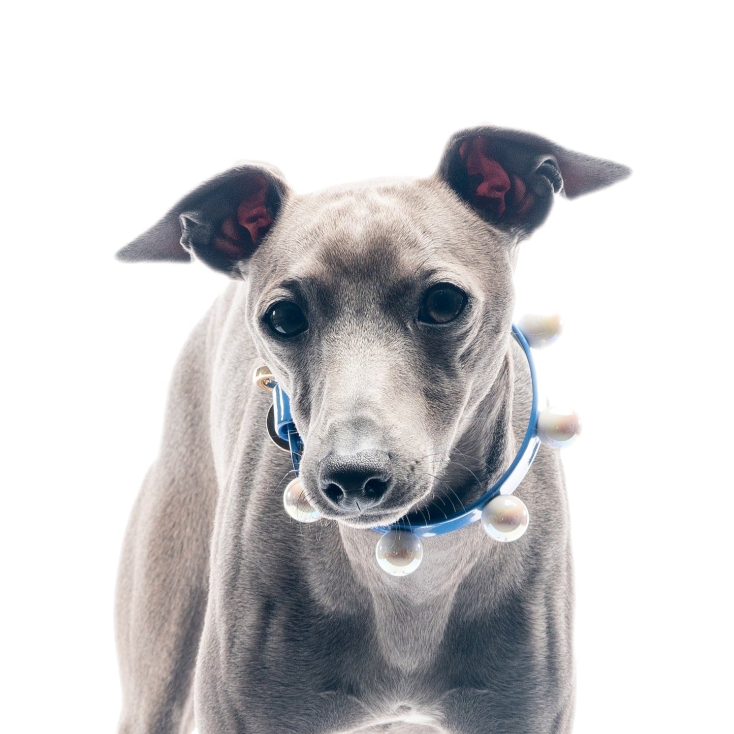 Collare Les Boules Vaniglia