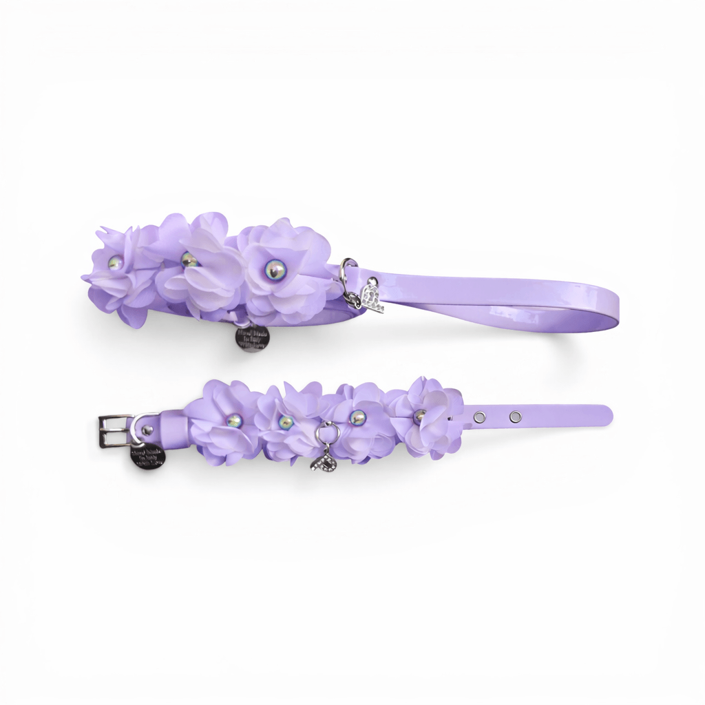 Amelie matching Leash