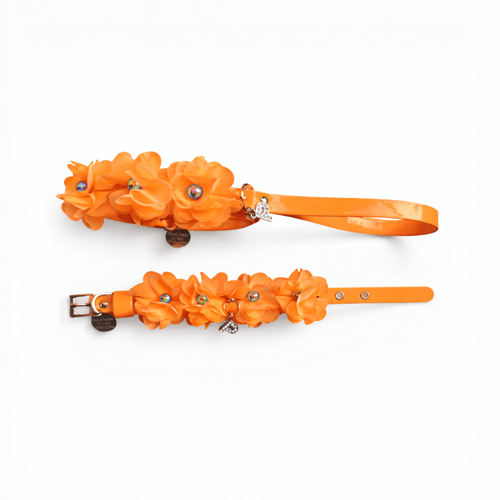 Amelie matching Leash