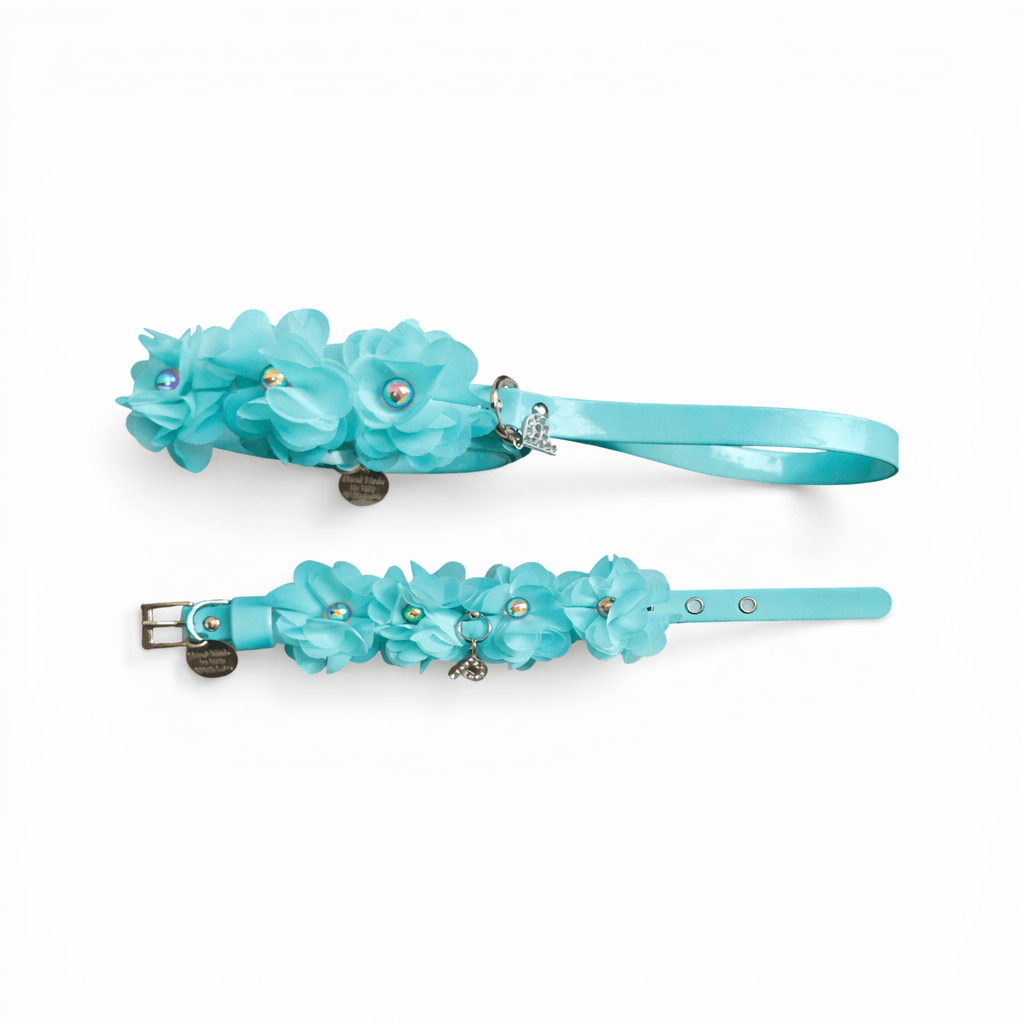 Amelie matching Leash