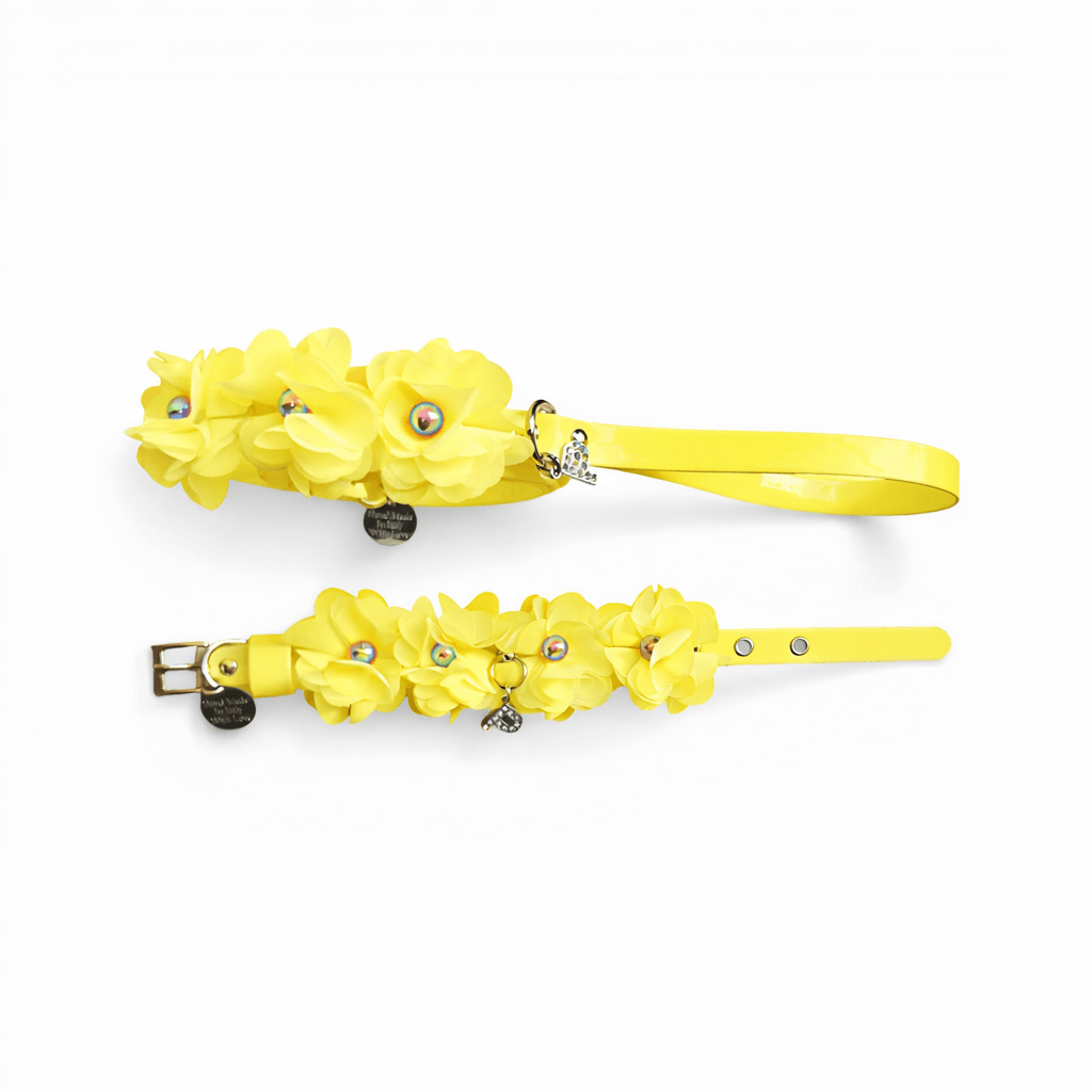 Amelie matching Leash