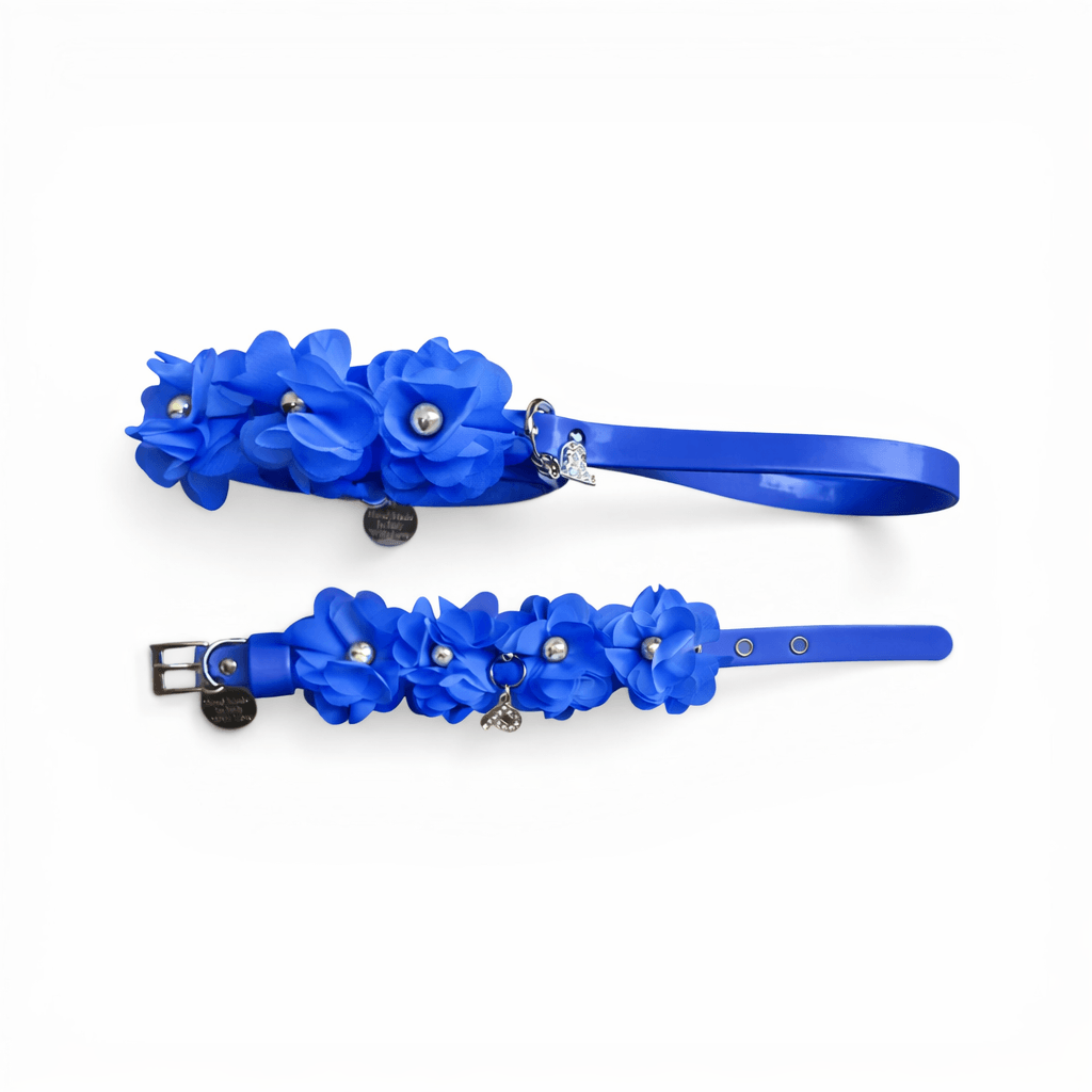 Amelie matching Leash