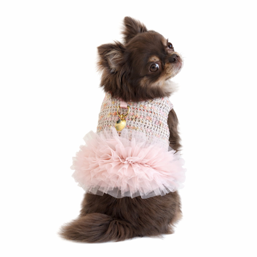 Ballerina Harness Top