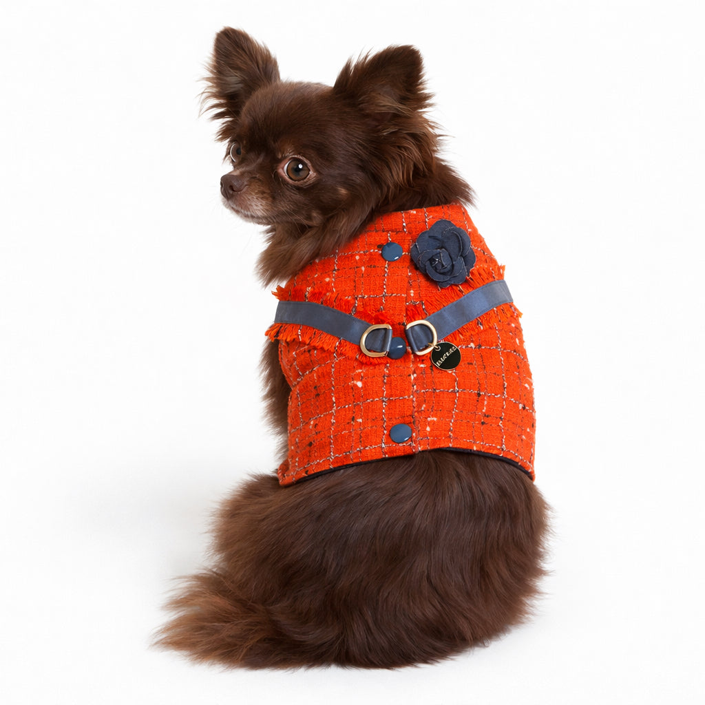 Short Tweed Harness