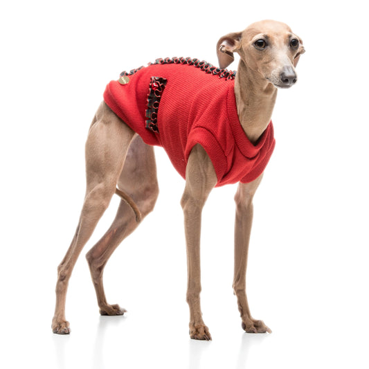 Levriero indossa maglione natalizio per cani in lana con dettagli in tartan | My Pet Luxury Boutique | mypetluxuryboutique.com