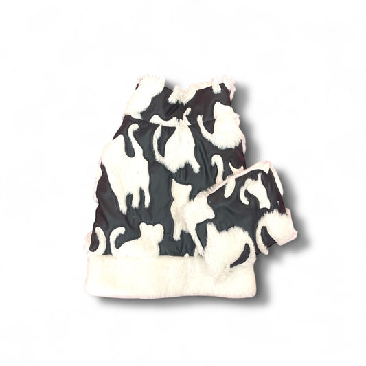 Cats Sugar Coat