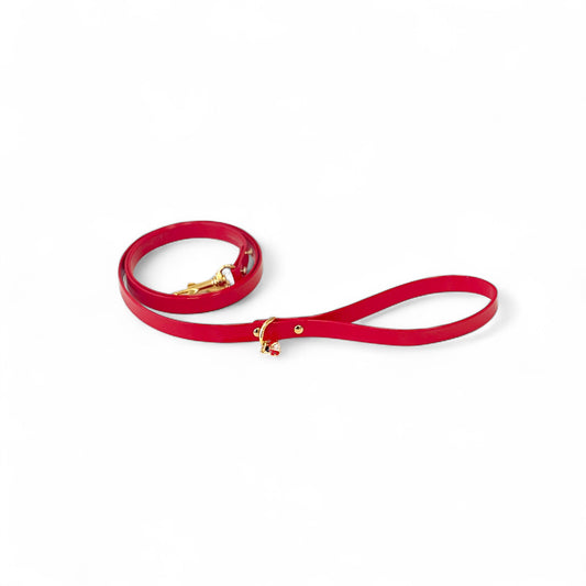 Ladybird Leash