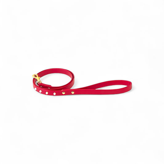 Daisy Leash