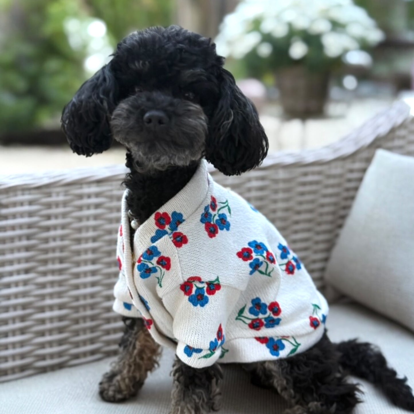 Cardigan Vintage