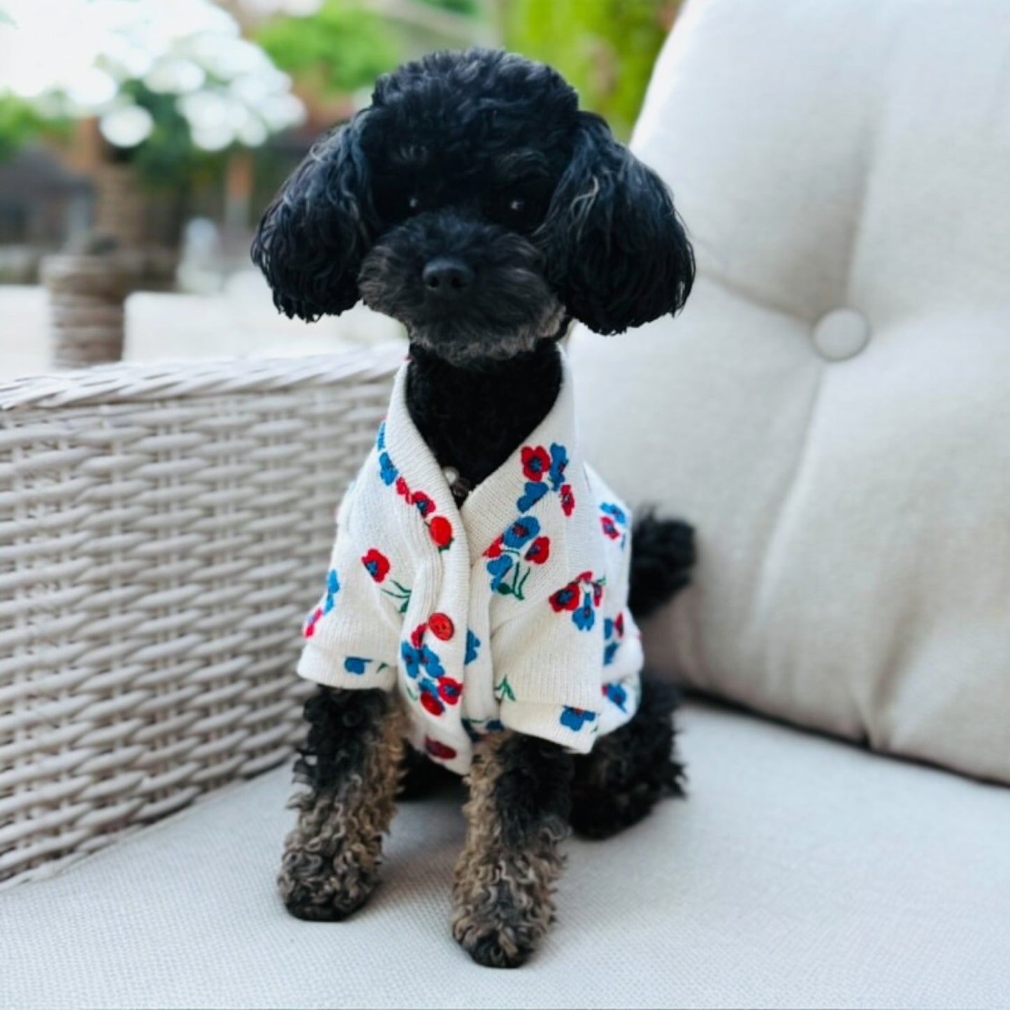 Cardigan Vintage
