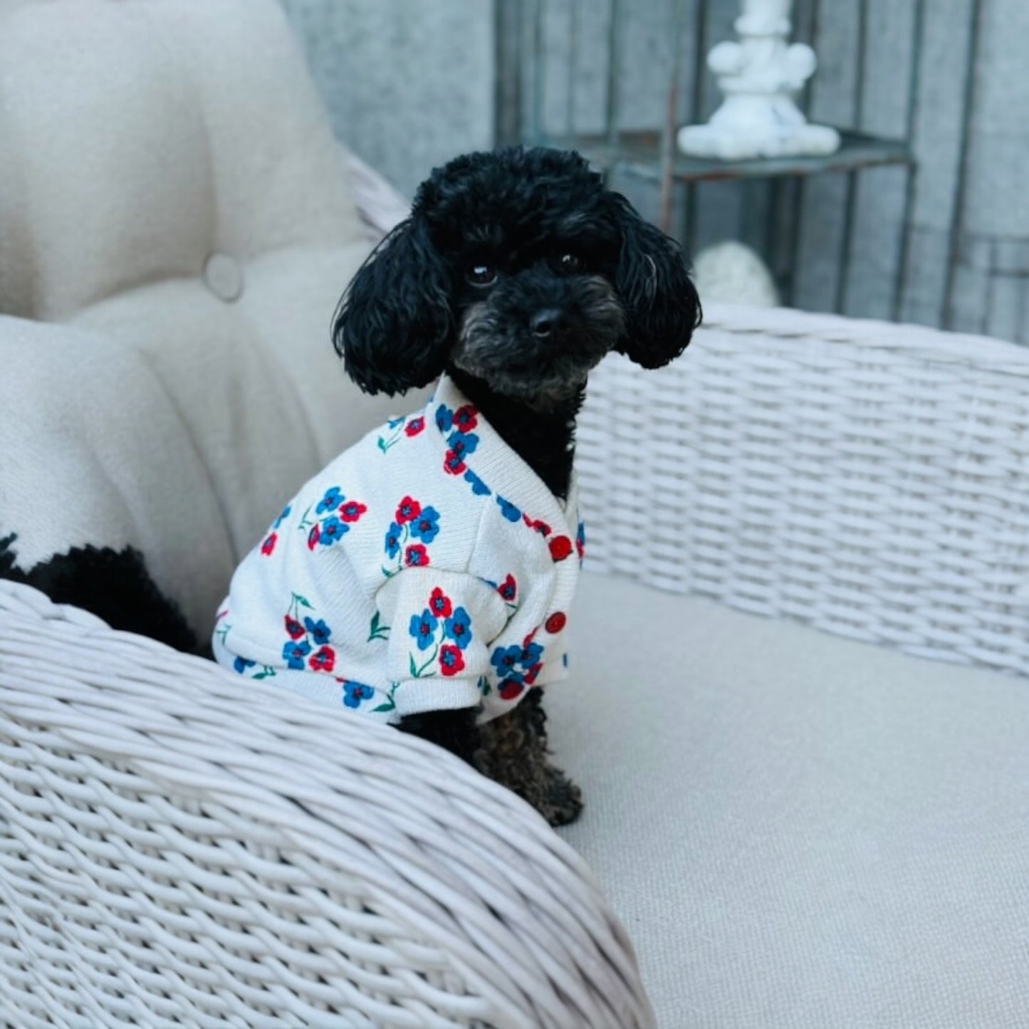 Cardigan Vintage