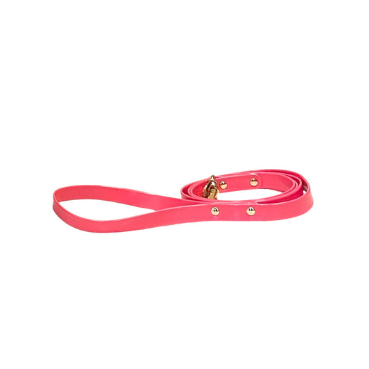 Coraline matching Leash