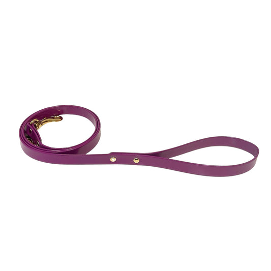 Duchesse matching Leash