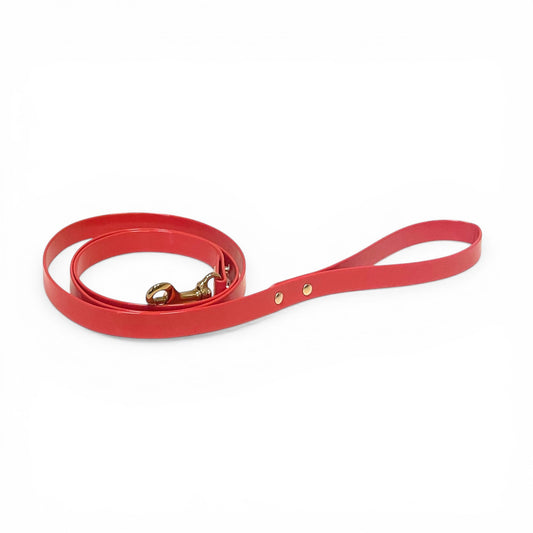 Rouge Coco matching Leash