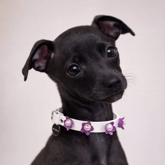 Collare Fiore di Loto