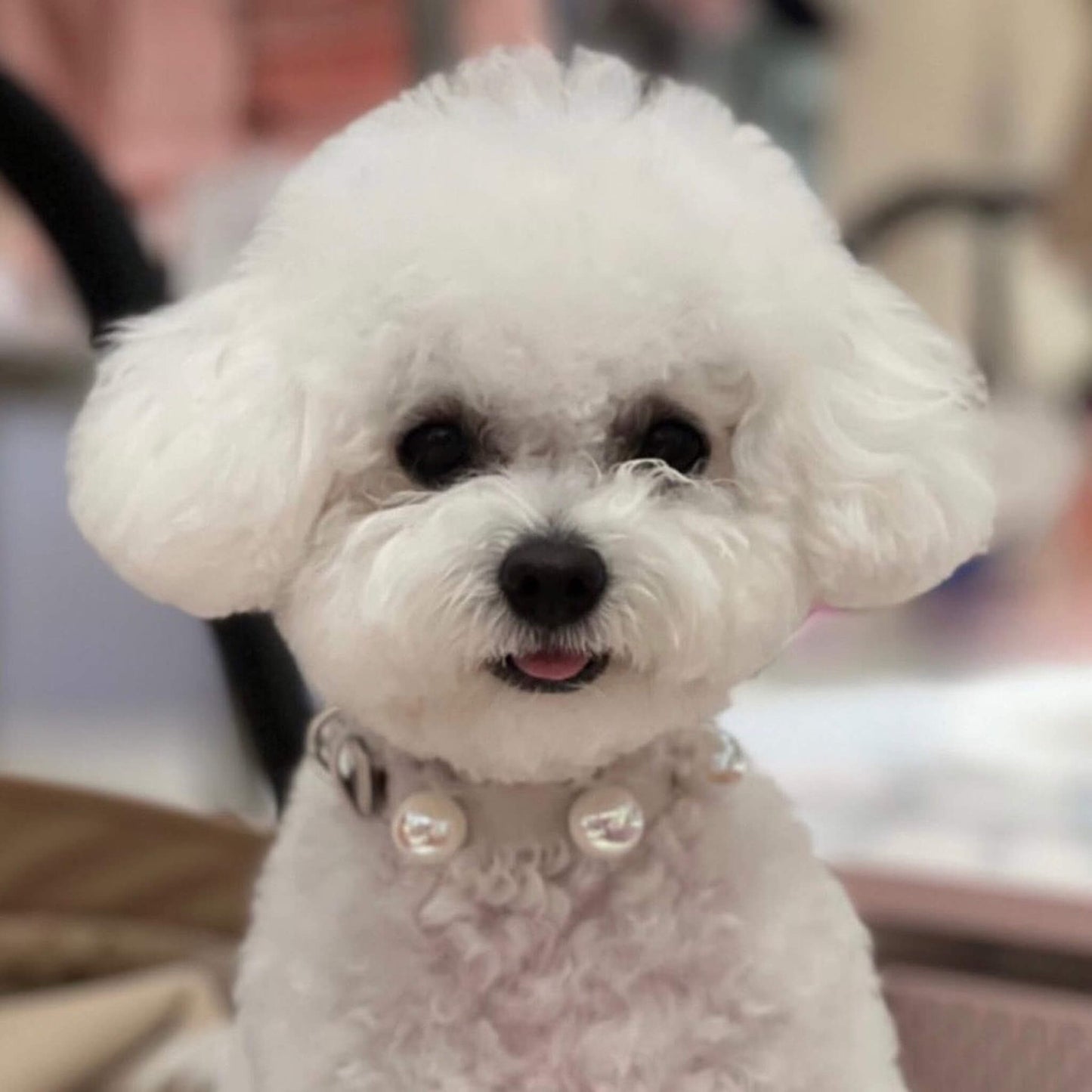 Collare Les Boules Vaniglia