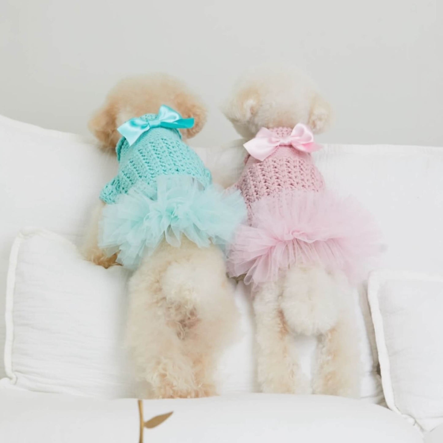 Petit Crochet
