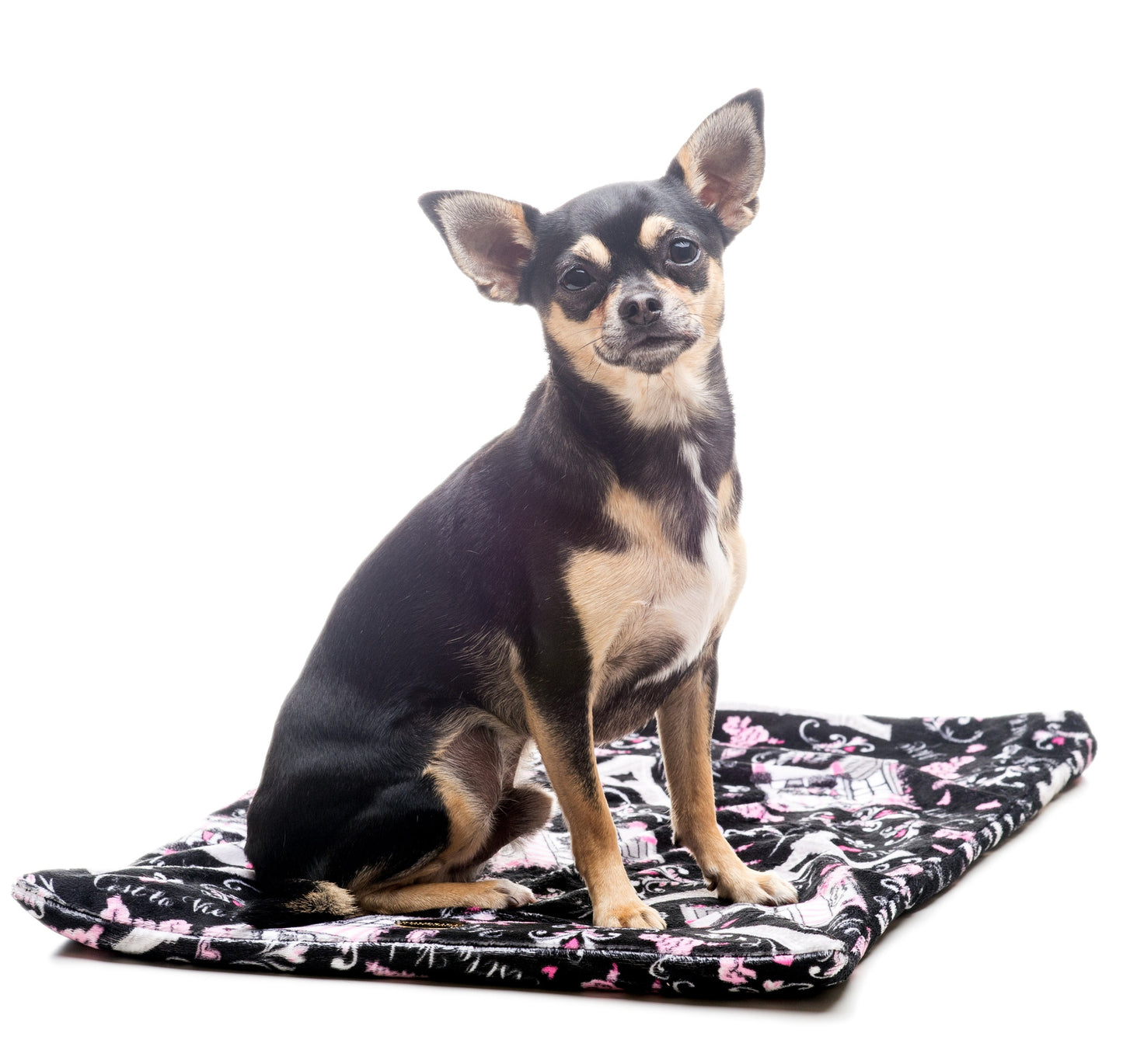 Sacconanna Paris per cani colore scuro | My Pet Luxury Boutique |mypetluxuryboutique.com