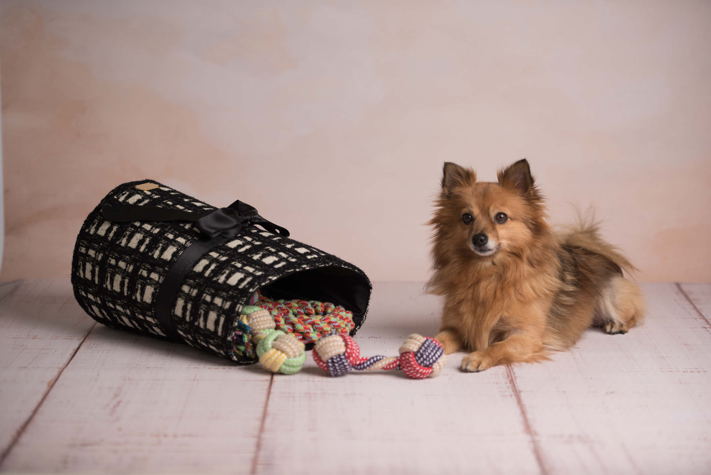Volpino e portagiochi per cani in tessuto chanel | My Pet Luxury Boutique | mypetluxuryboutique.com
